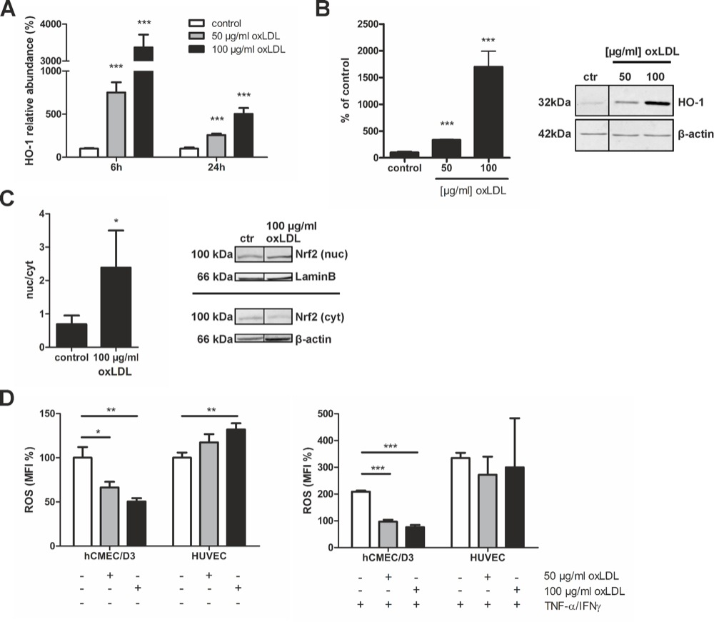 image description image description