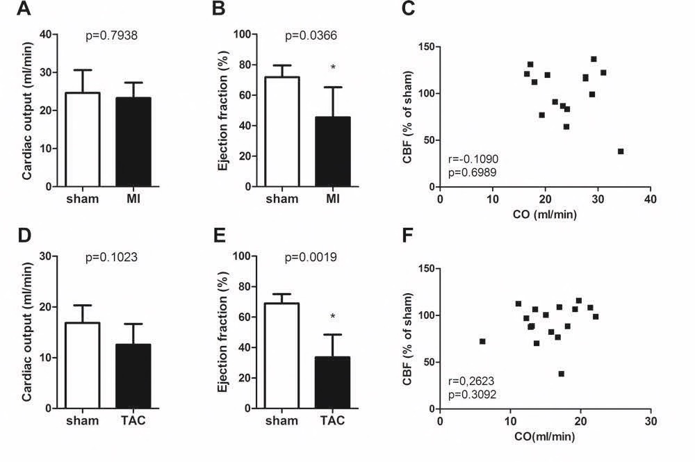 H6Fig 2_Cardiac results H6Fig 2_Cardiac results