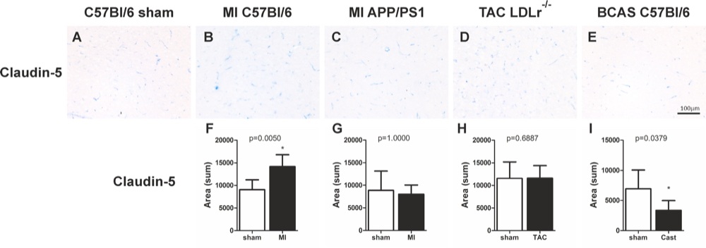 image description image description