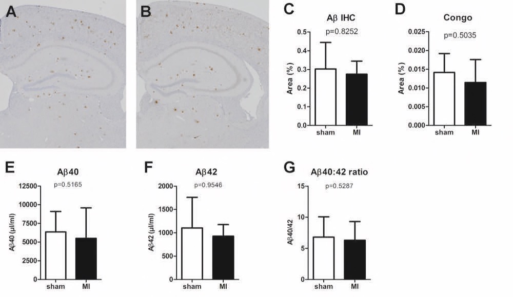 H6Fig 7_Abeta H6Fig 7_Abeta